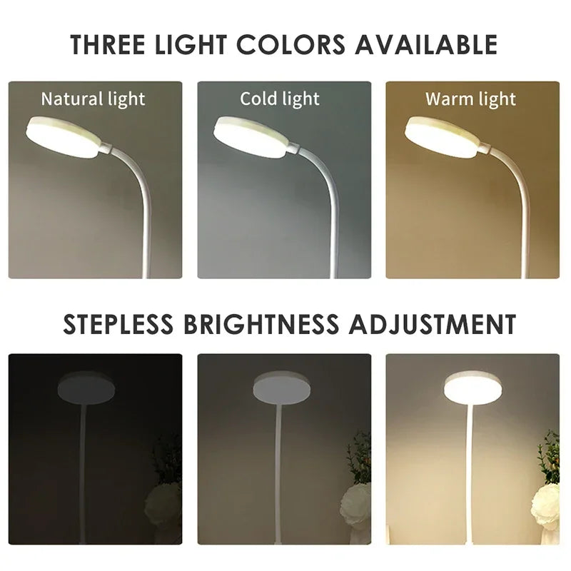 Purely You™ | Soft Glow LED Desk Lamp